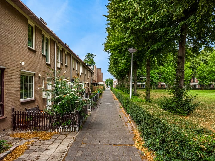 Foto 34 van Borstelgras 58