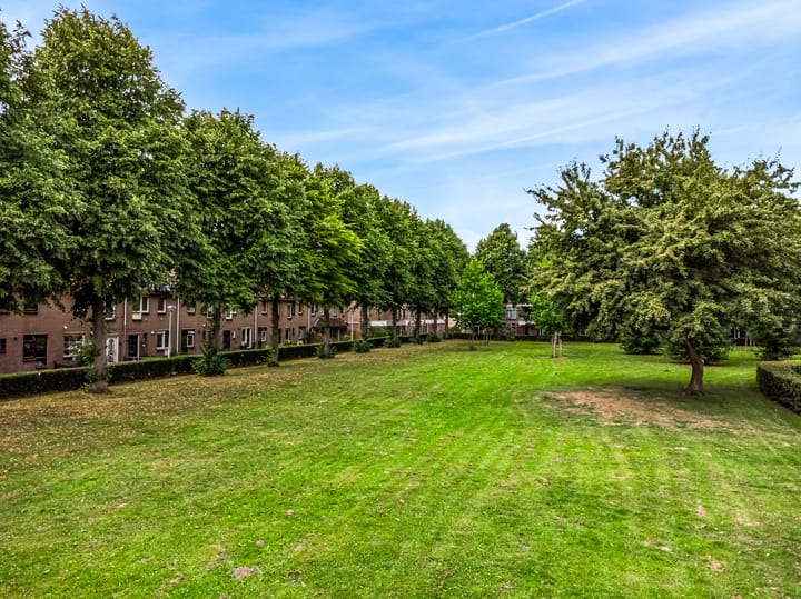 Foto 35 van Borstelgras 58