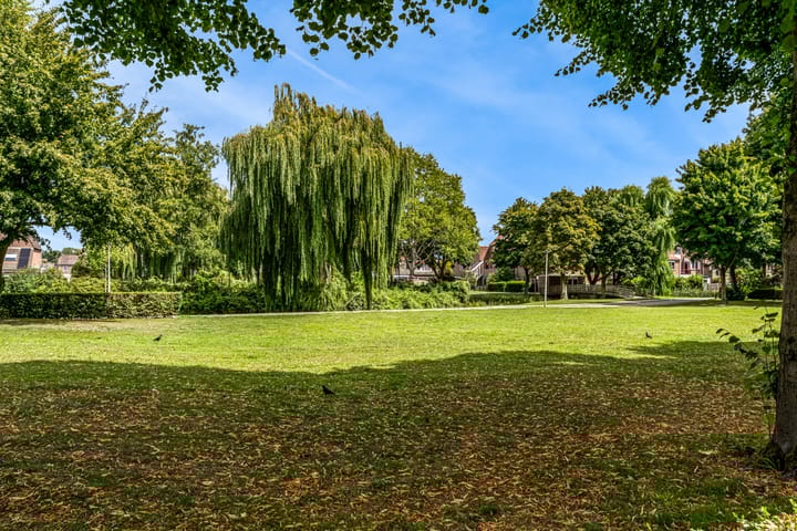 Foto 36 van Borstelgras 58