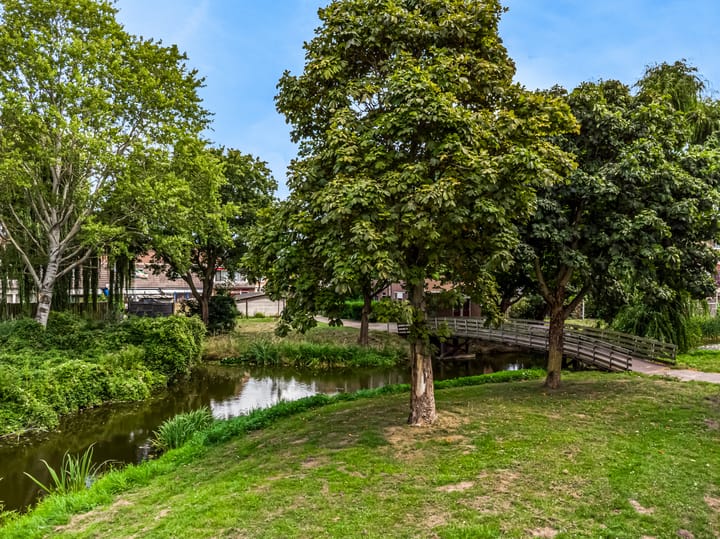 Foto 37 van Borstelgras 58