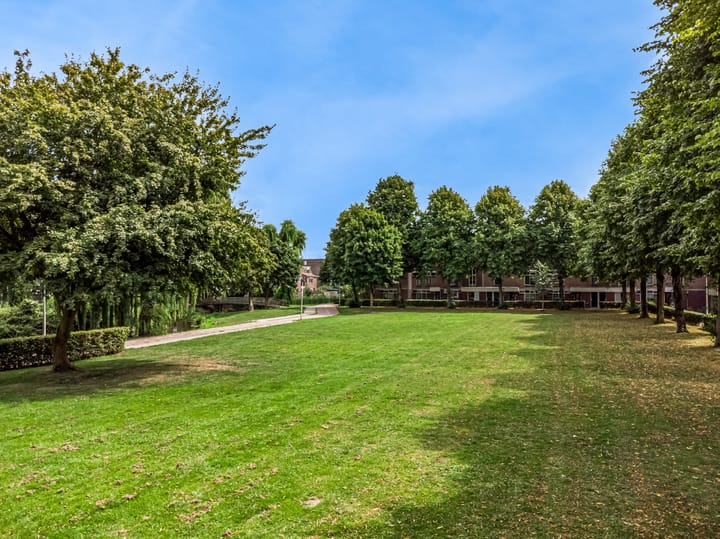 Foto 38 van Borstelgras 58