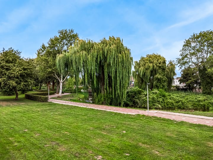 Foto 39 van Borstelgras 58