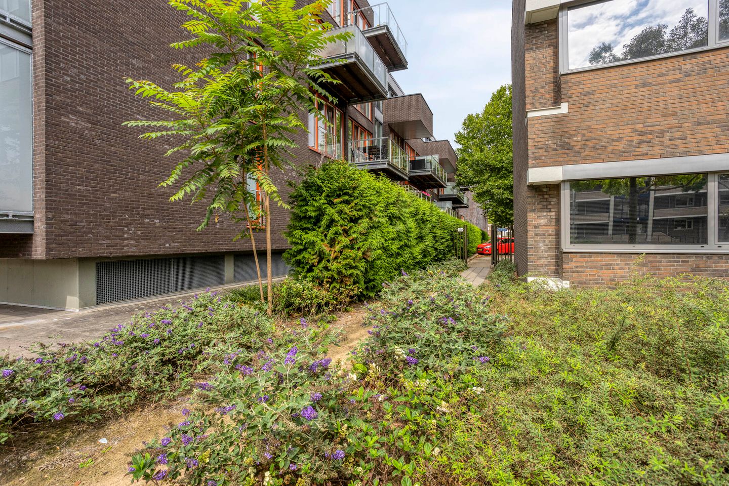 Photo 19 of Kamperfoeliestraat 12-B