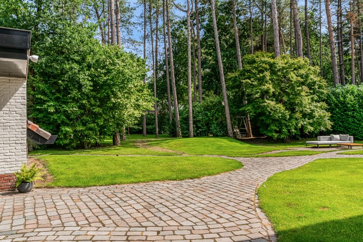 Photo 71 of Mesdaglaan 10-A