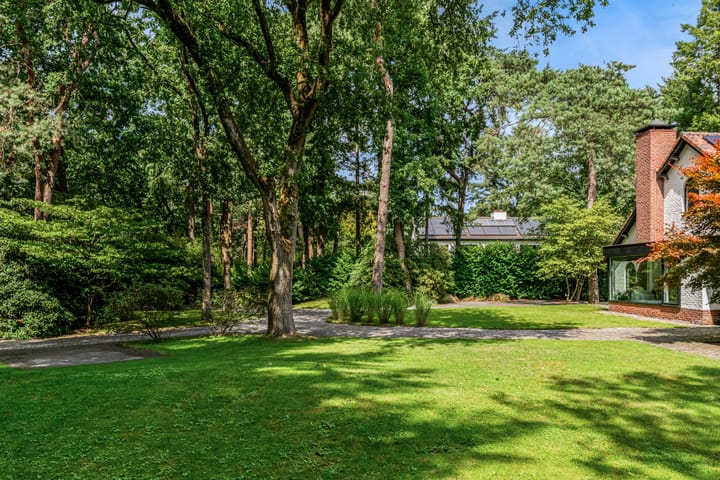 Photo 83 of Mesdaglaan 10-A