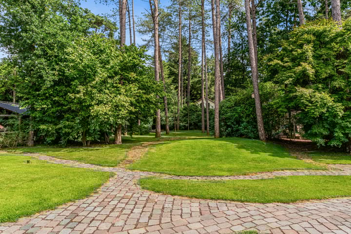 Photo 86 of Mesdaglaan 10-A