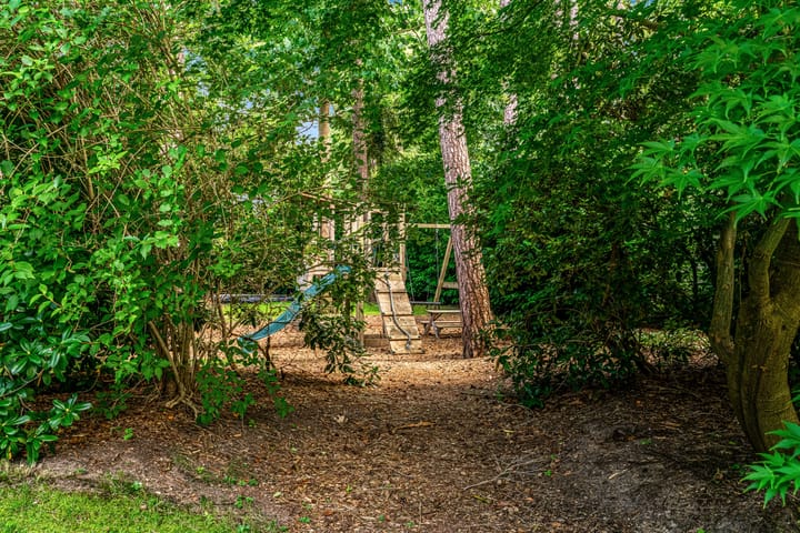 Photo 87 of Mesdaglaan 10-A