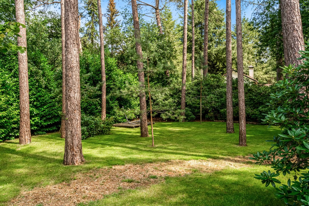 Foto 91 van Mesdaglaan 10-A