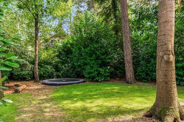 Photo 94 of Mesdaglaan 10-A