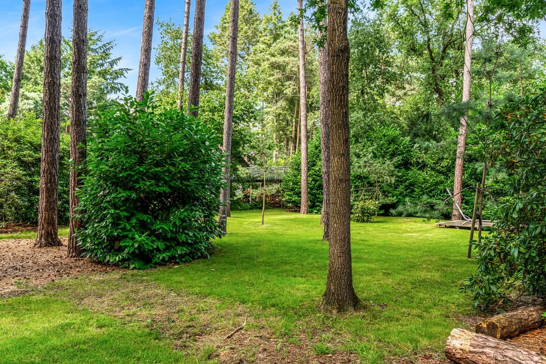 Foto 97 van Mesdaglaan 10-A