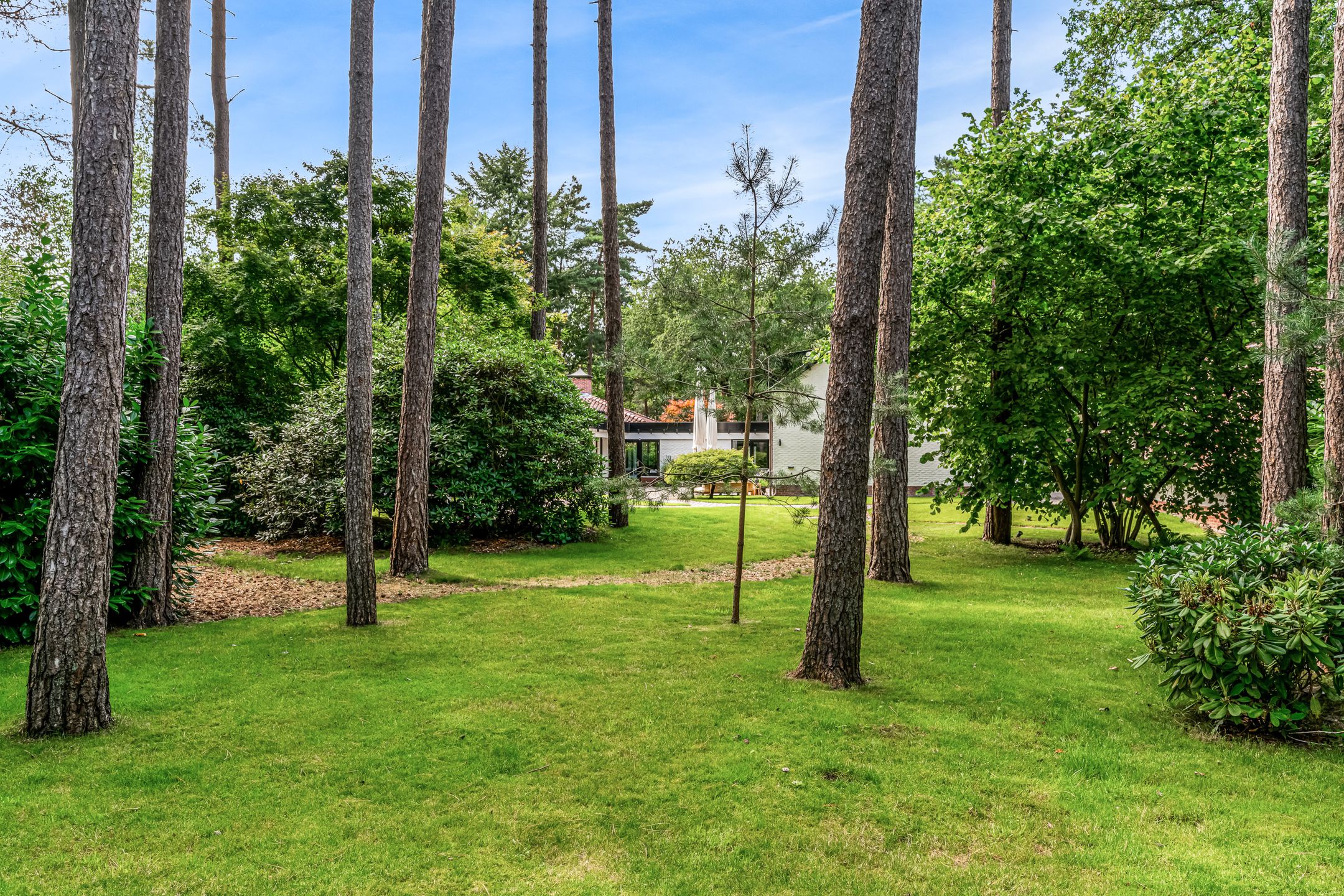 Foto 99 van Mesdaglaan 10-A