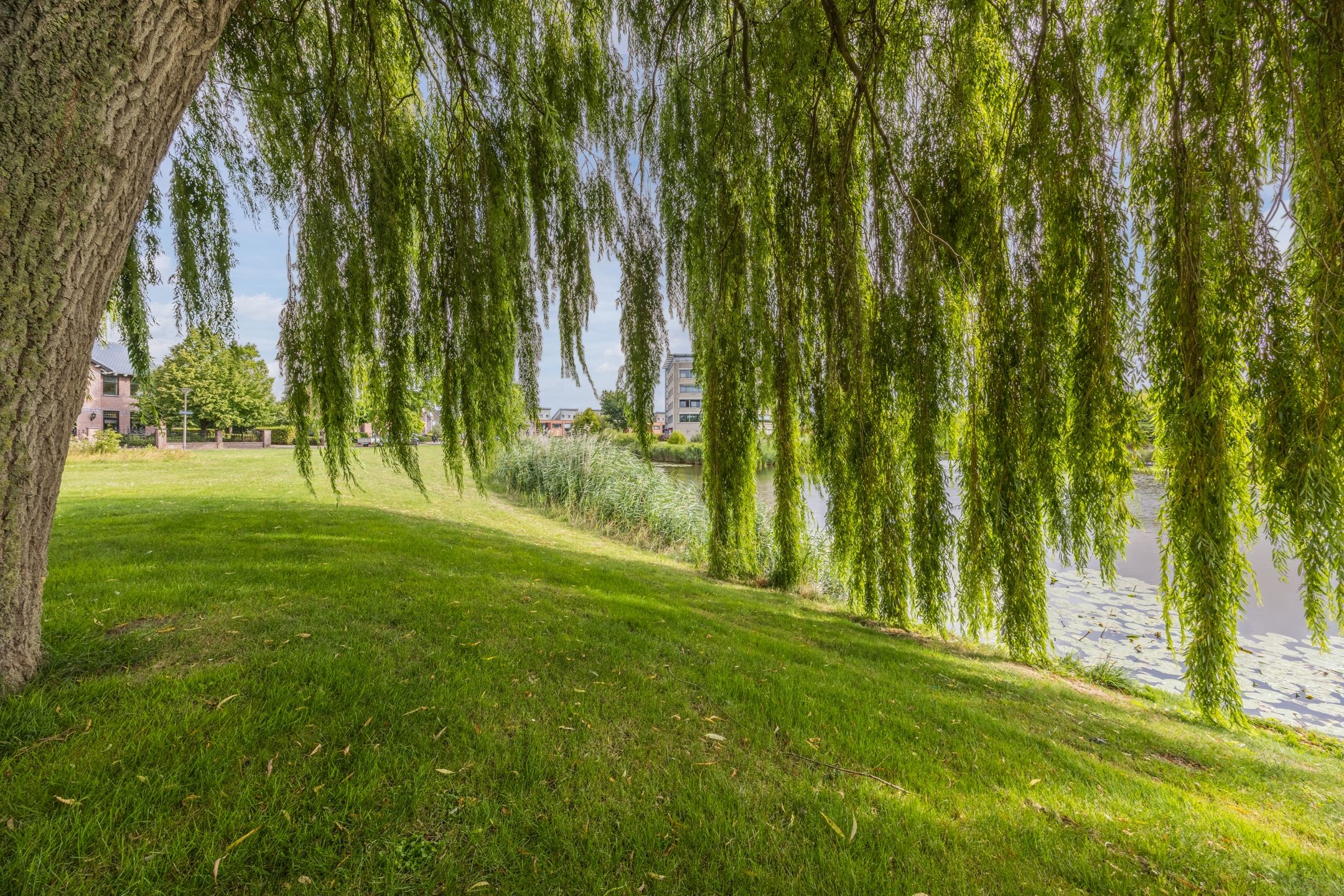 Foto 39 van Volantestraat 33