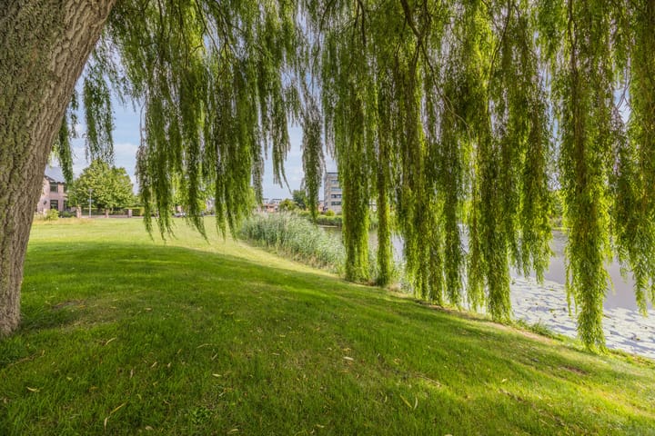 Photo 39 of Volantestraat 33