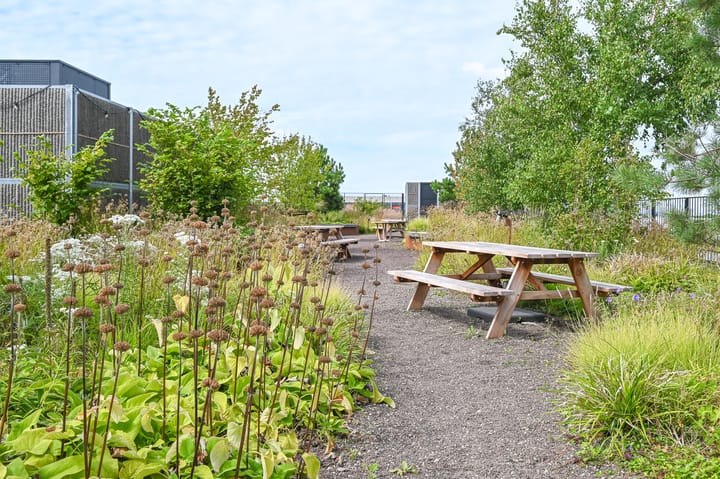 Foto 36 van Sint Maartenpad 11