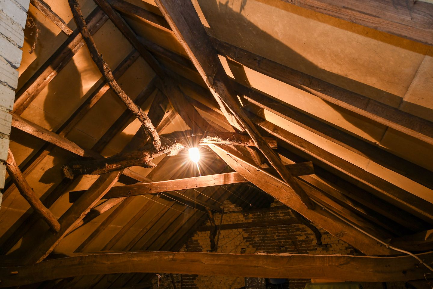 Foto 20 van Ninnesweg 69