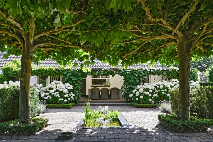 Foto 29 van Ninnesweg 69