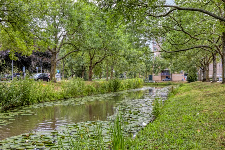 Foto 38 van Frans Molstraat 18