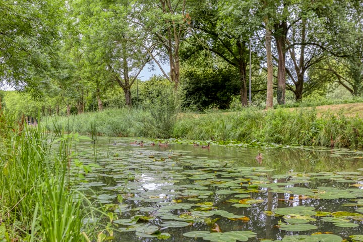 Foto 39 van Frans Molstraat 18