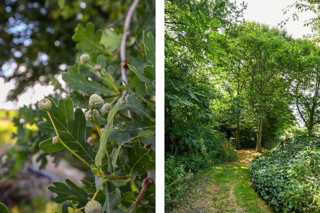 Foto 41 van Ninnesweg 69