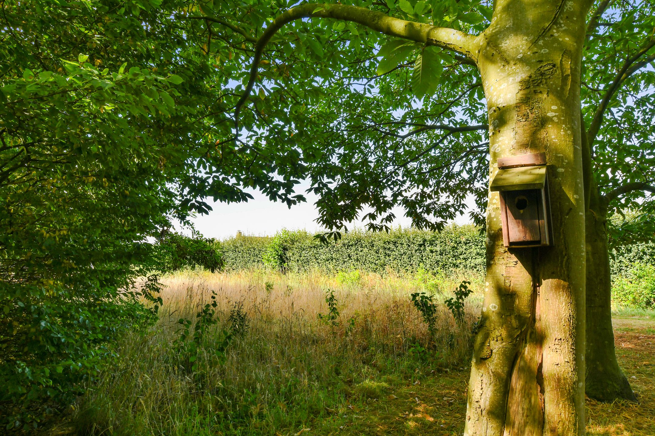 Foto 42 van Ninnesweg 69