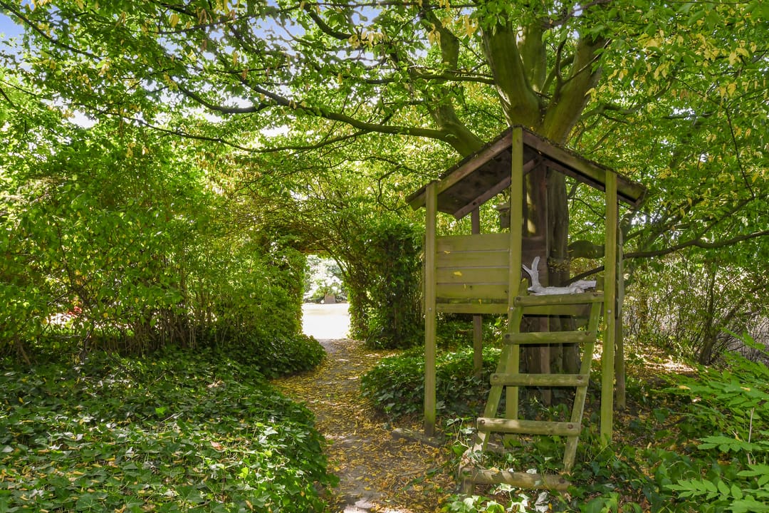 Foto 43 van Ninnesweg 69