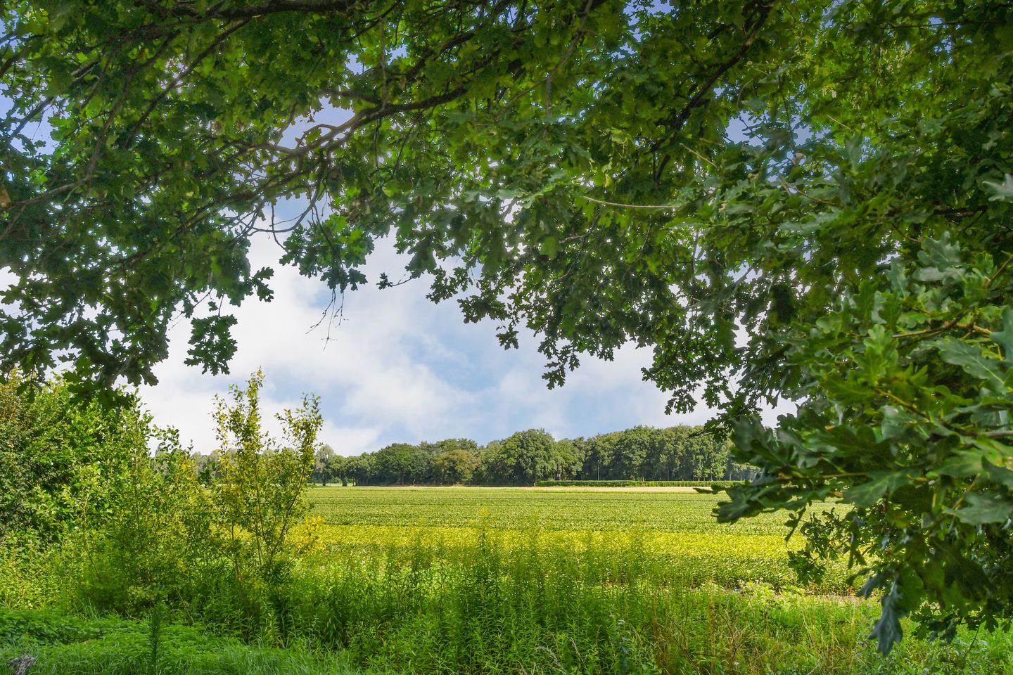 Foto 44 van Ninnesweg 69