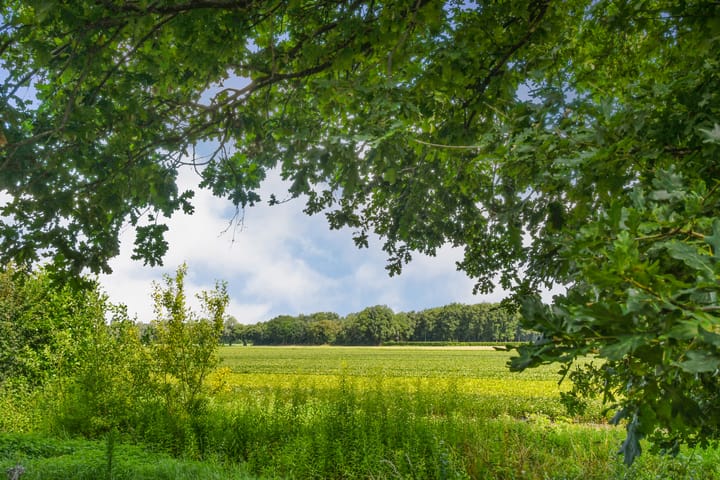 Foto 44 van Ninnesweg 69