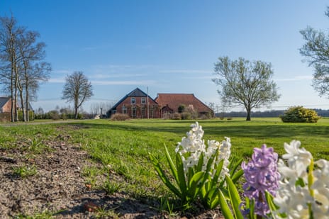 Oranjekanaal N.Z. 49 secondary image