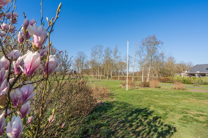 Foto 4 van Oranjekanaal N.Z. 49