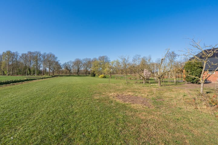 Foto 41 van Oranjekanaal N.Z. 49