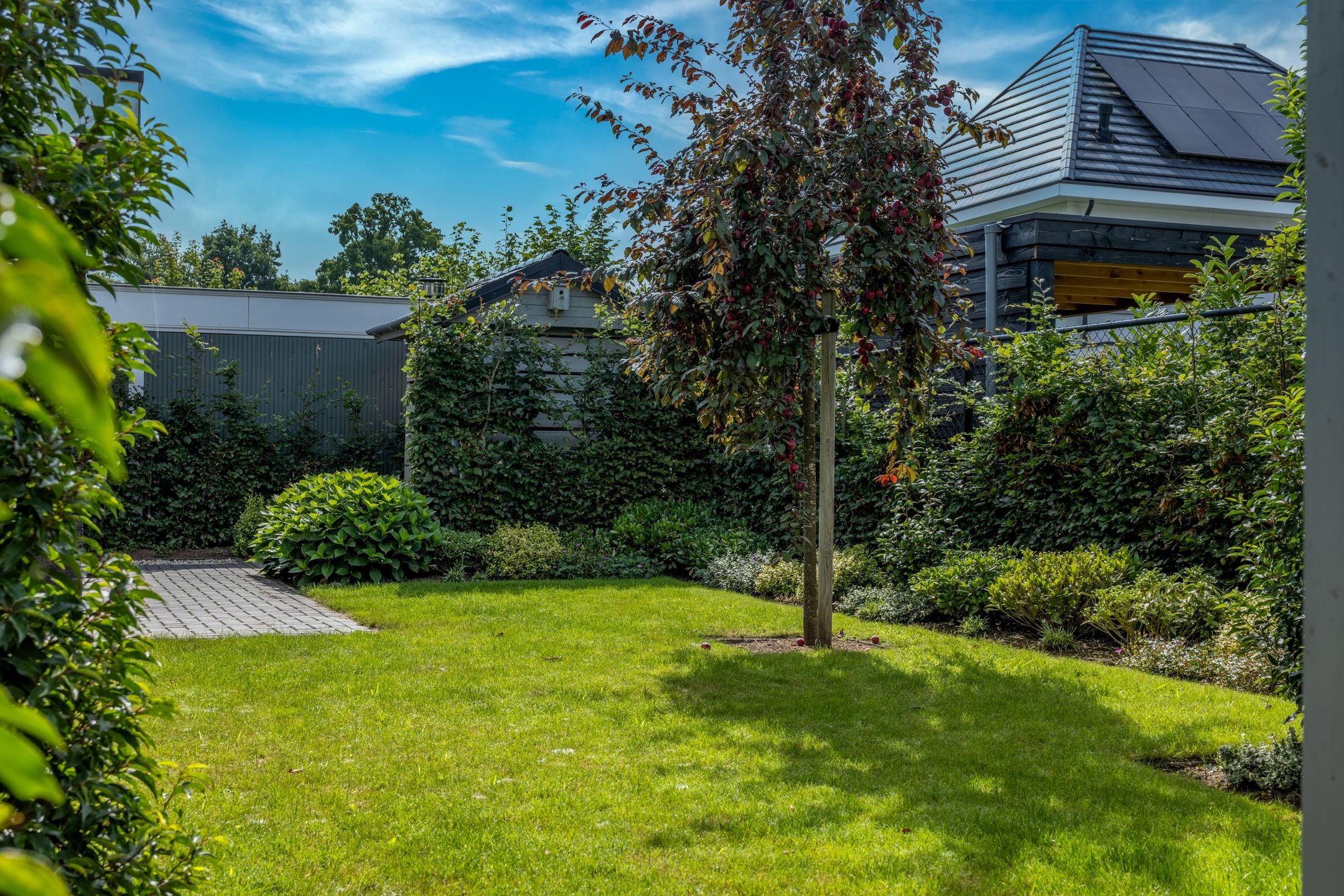 Foto 39 van Tjeenk Willinkstraat 11