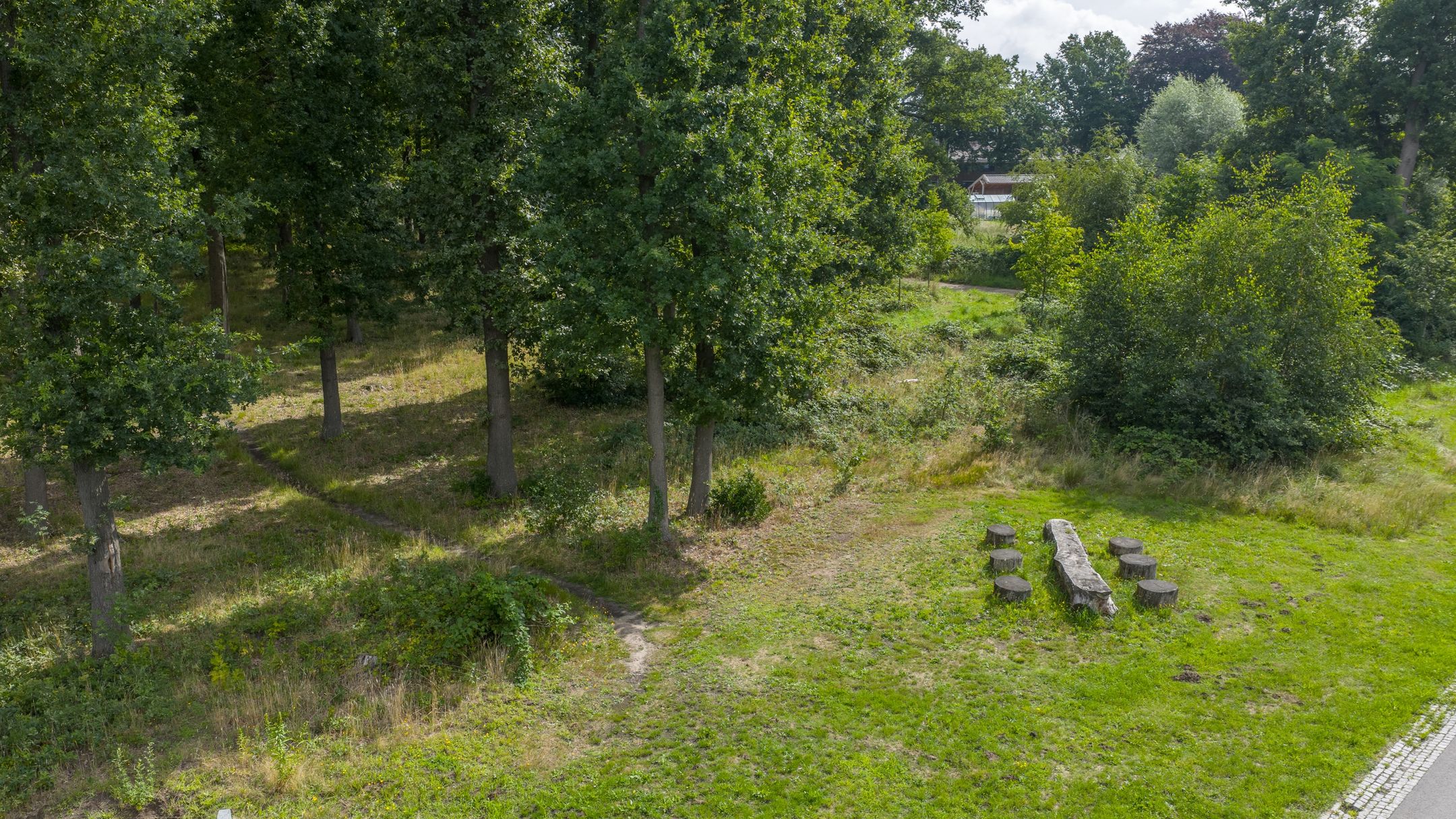 Foto 42 van Tjeenk Willinkstraat 11