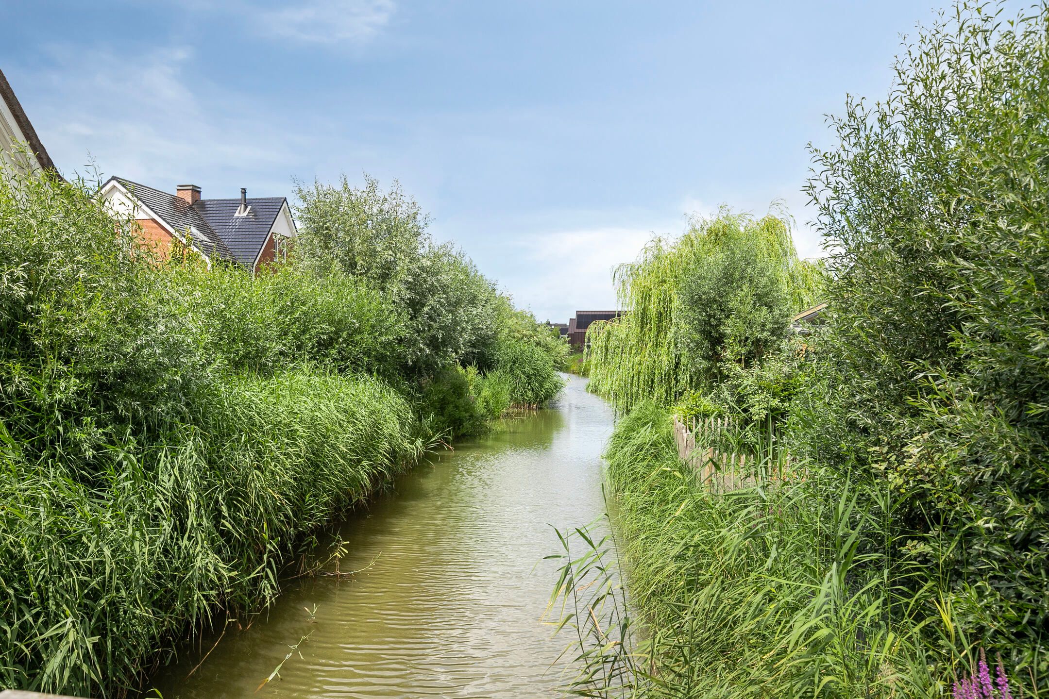 Foto 9 van Blikveld 17