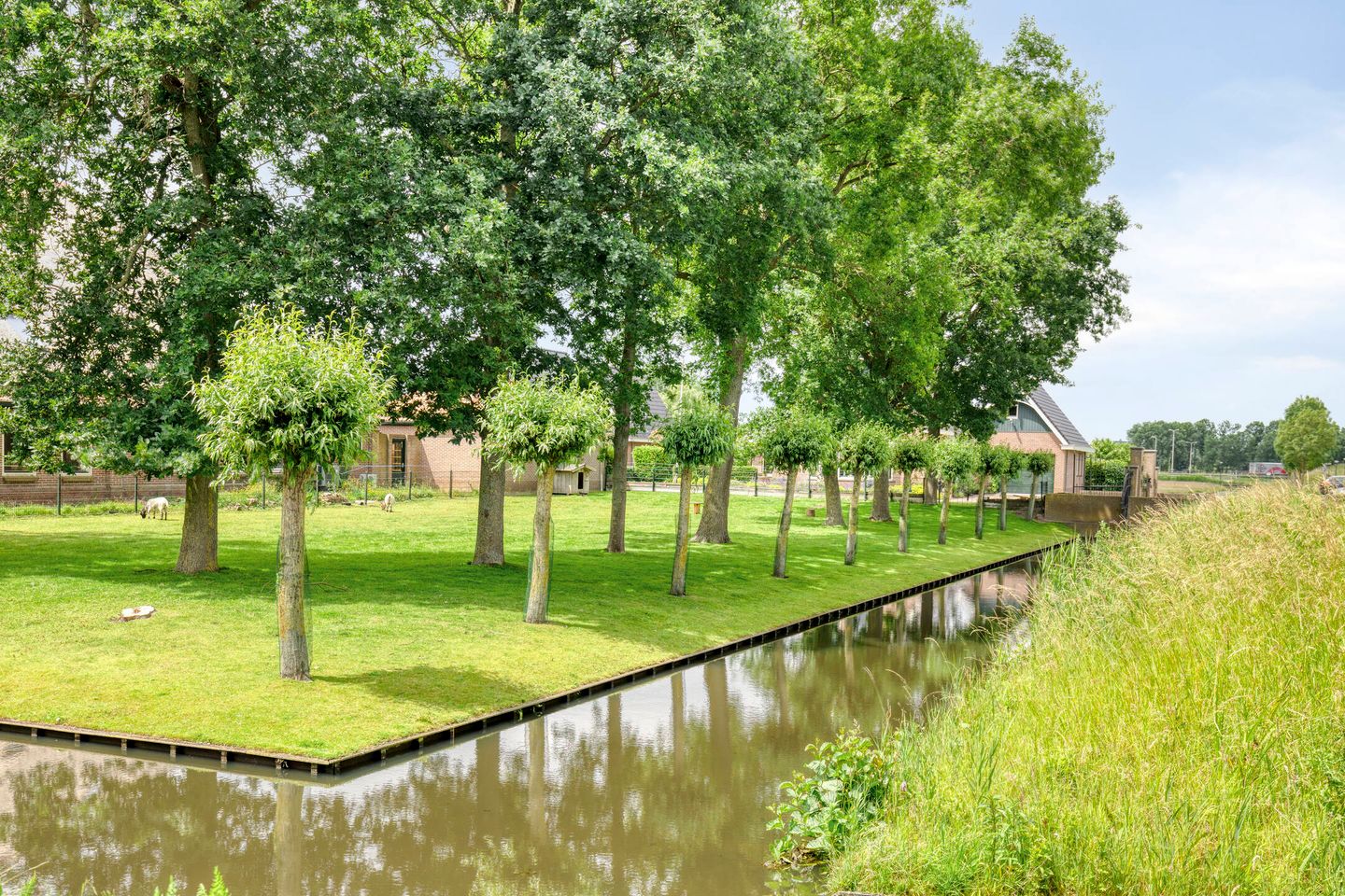 Foto 94 van Erf van Odin 1