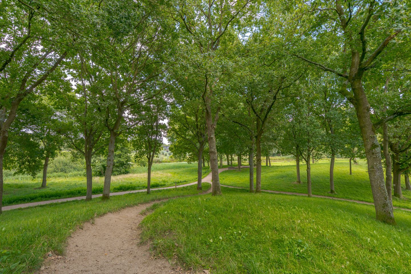 Foto 55 van Punterdiep 67