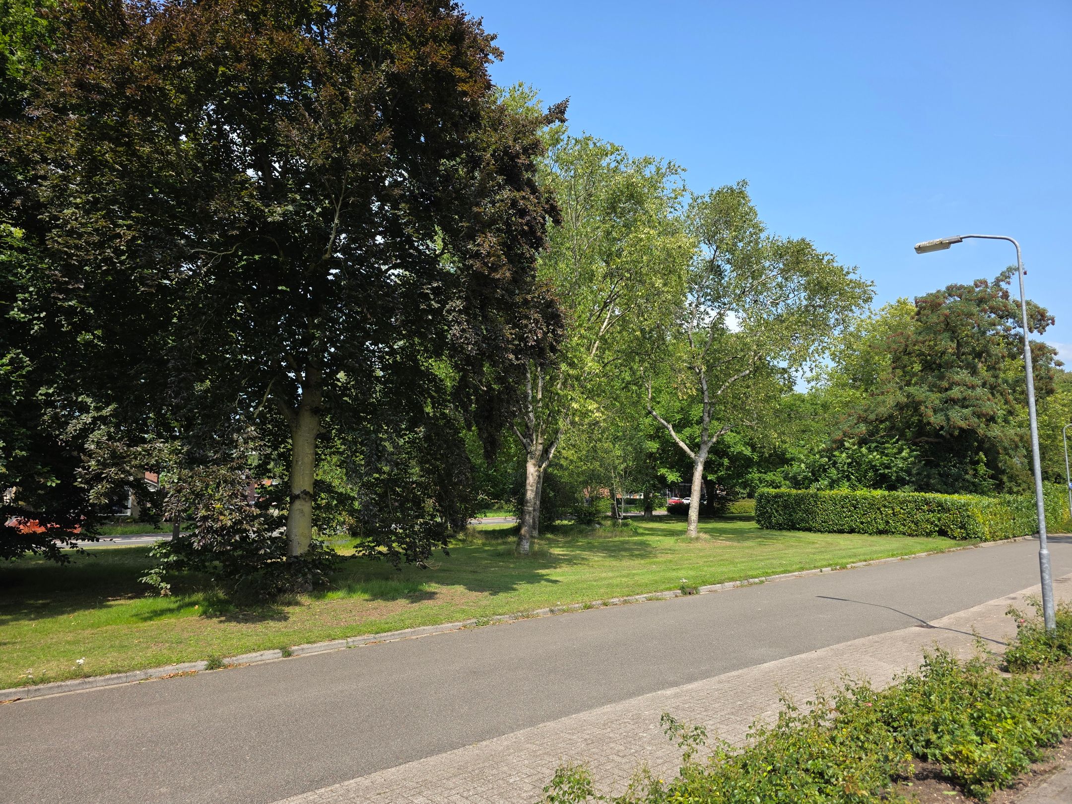 Foto 48 van Engelserf 17