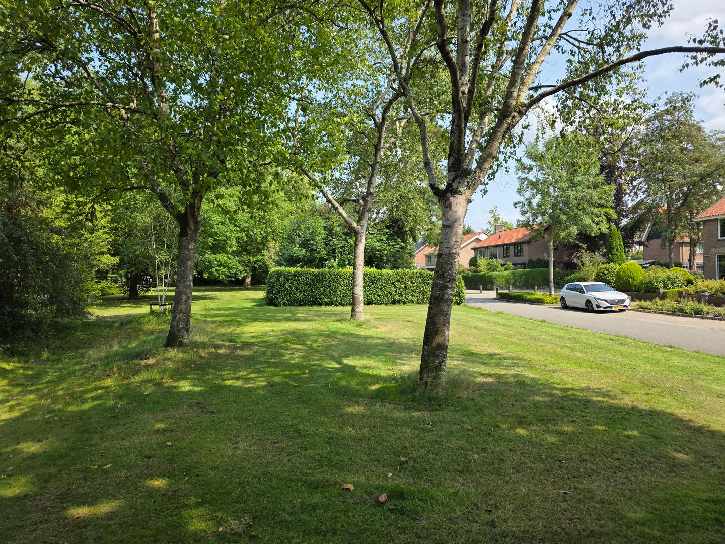 Foto 49 van Engelserf 17