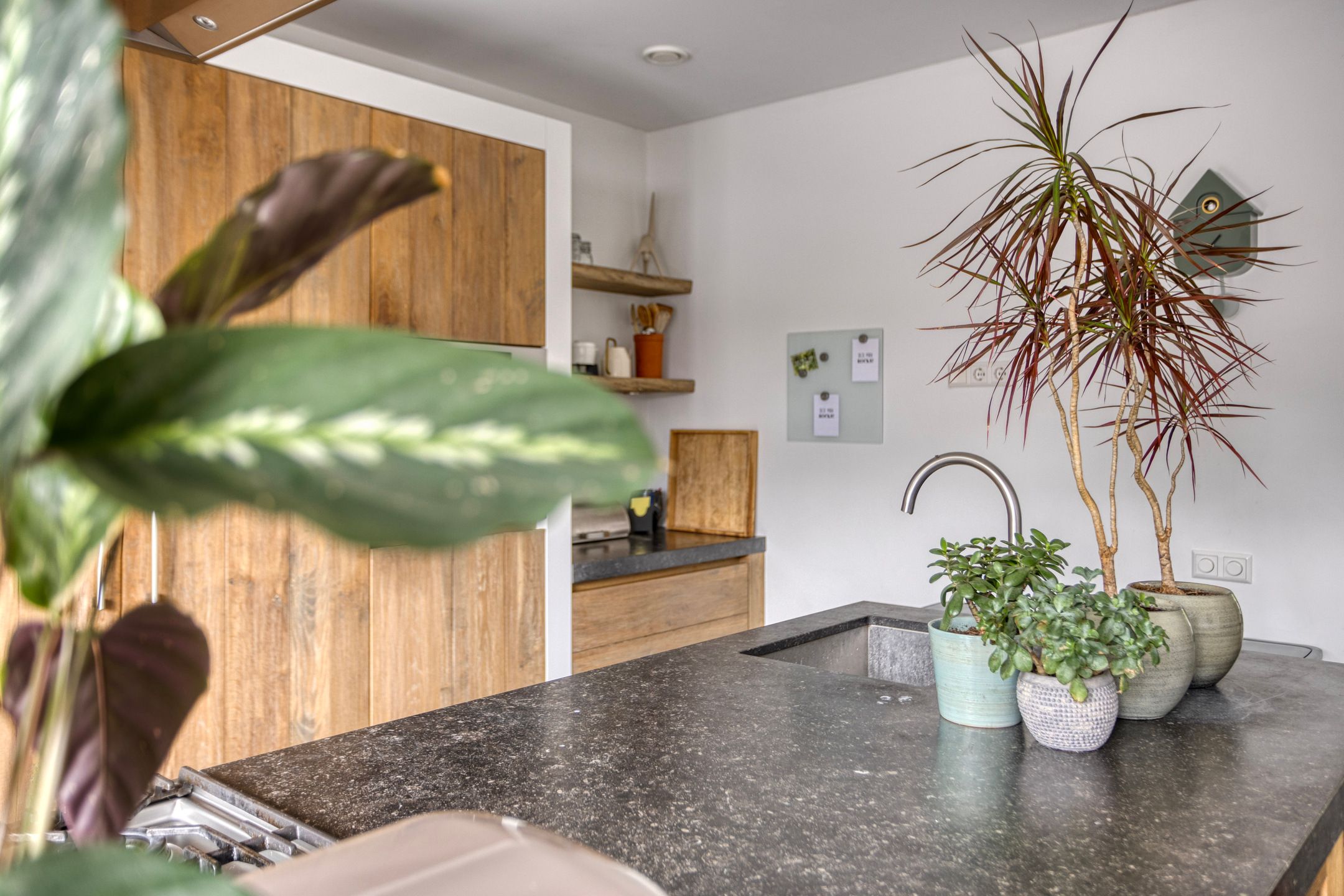 Foto 12 van Kreukel 15