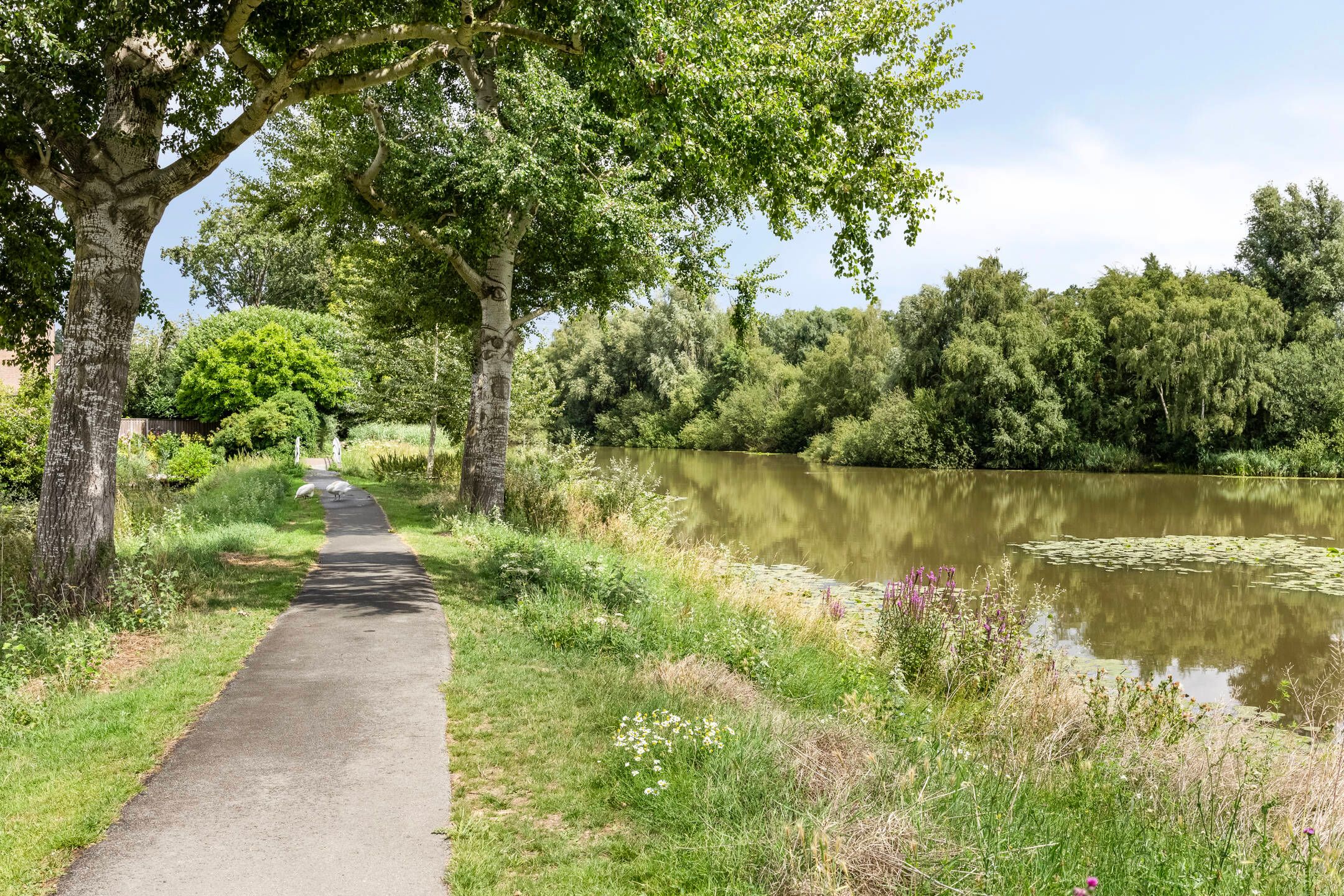 Foto 18 van Louvre 114