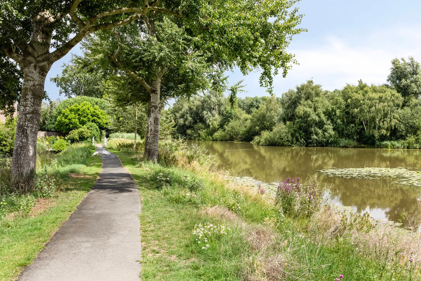 Foto 19 van Louvre 114