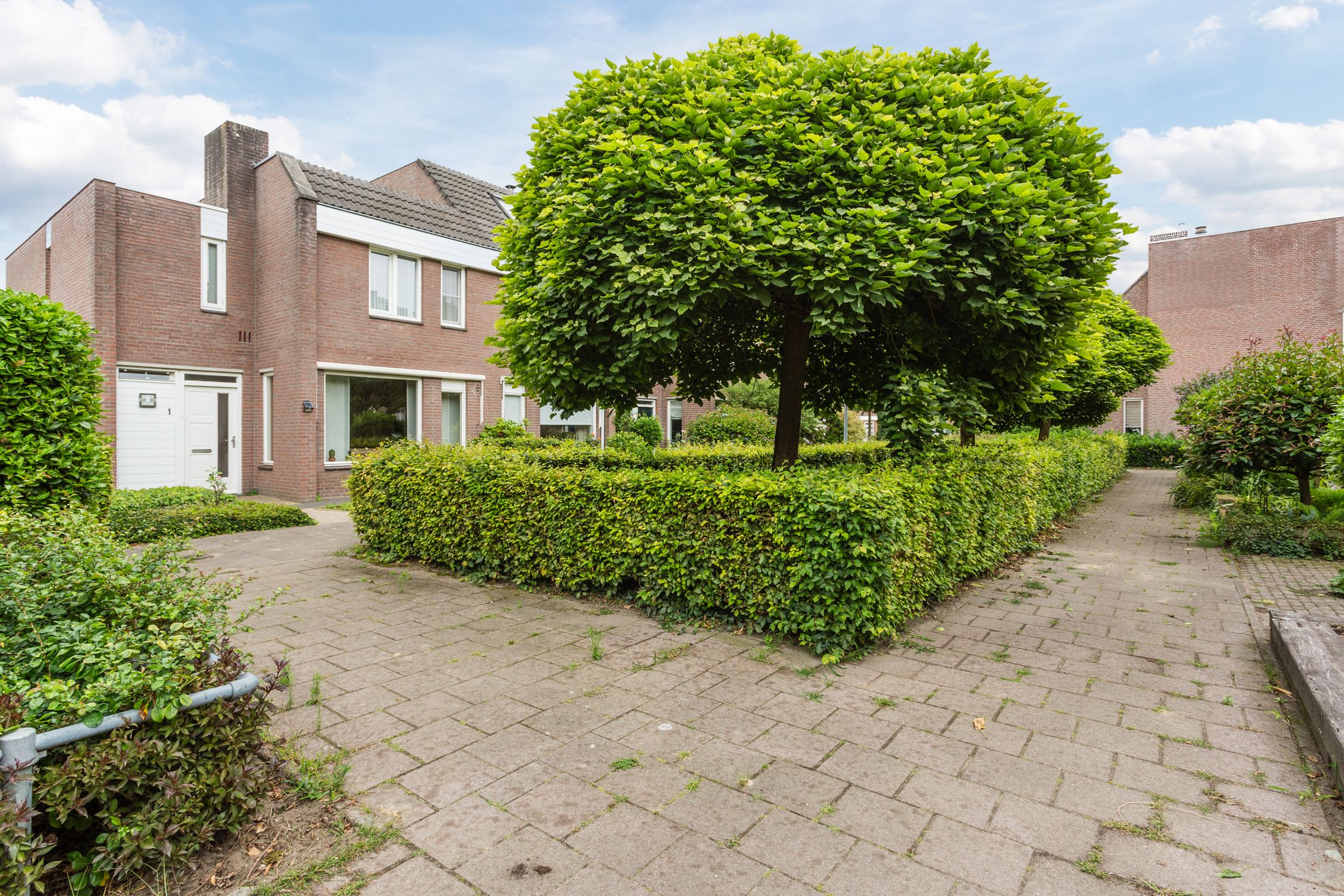 Foto 6 van Wikkebeek 1