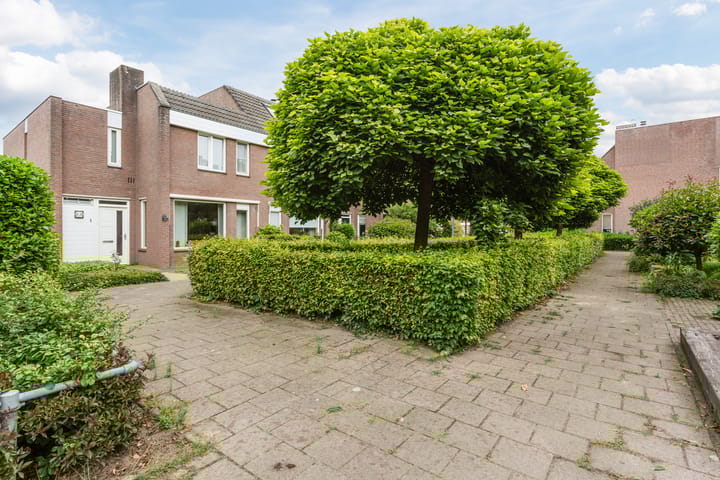 Foto 6 van Wikkebeek 1