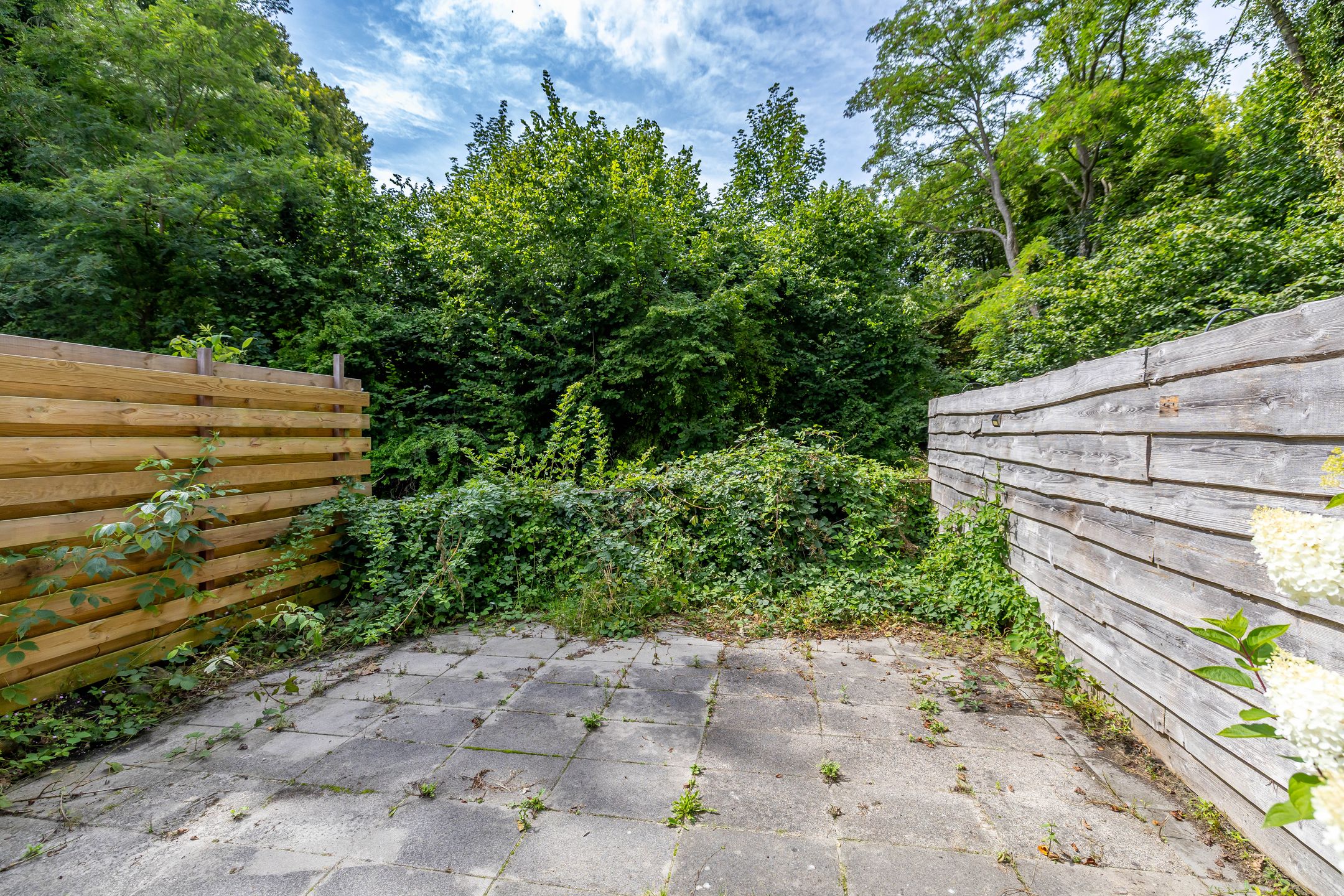 Foto 24 van Kennemerland 159