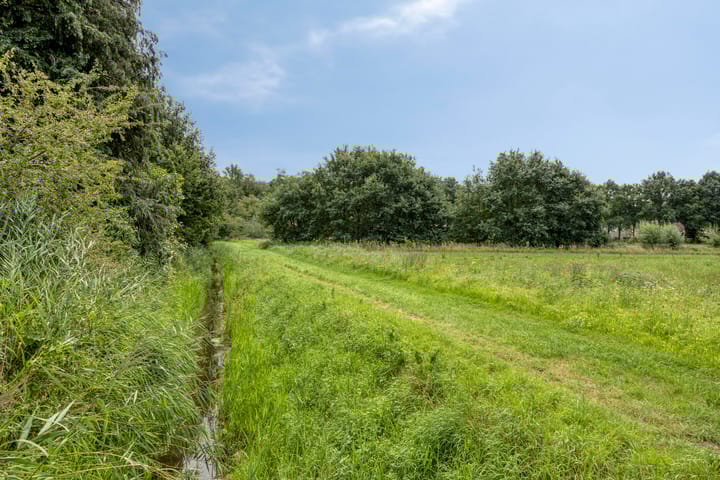 Foto 42 van Kronenkamp 3