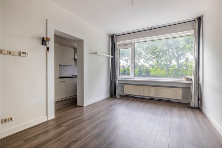 Foto 2 van Schiedamseweg Beneden 531-01L