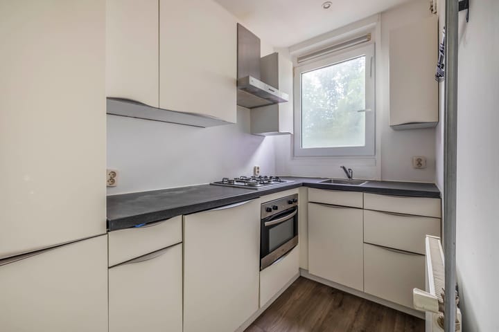 Foto 4 van Schiedamseweg Beneden 531-01L