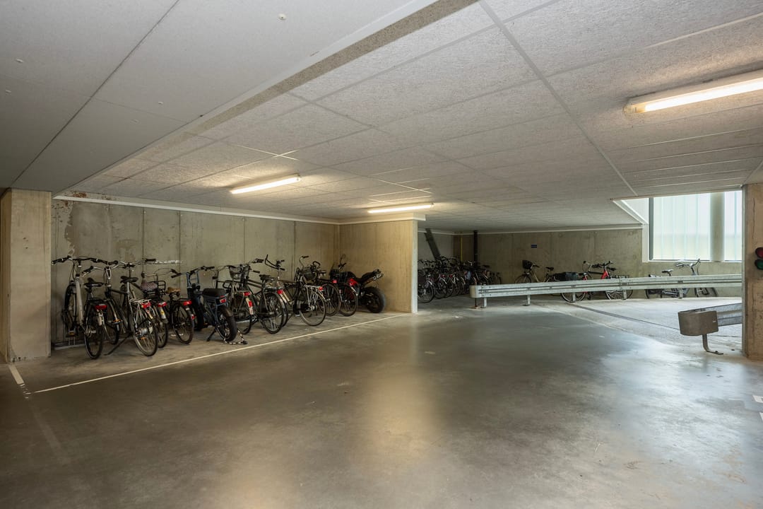 Foto 31 van Waterlelie 33