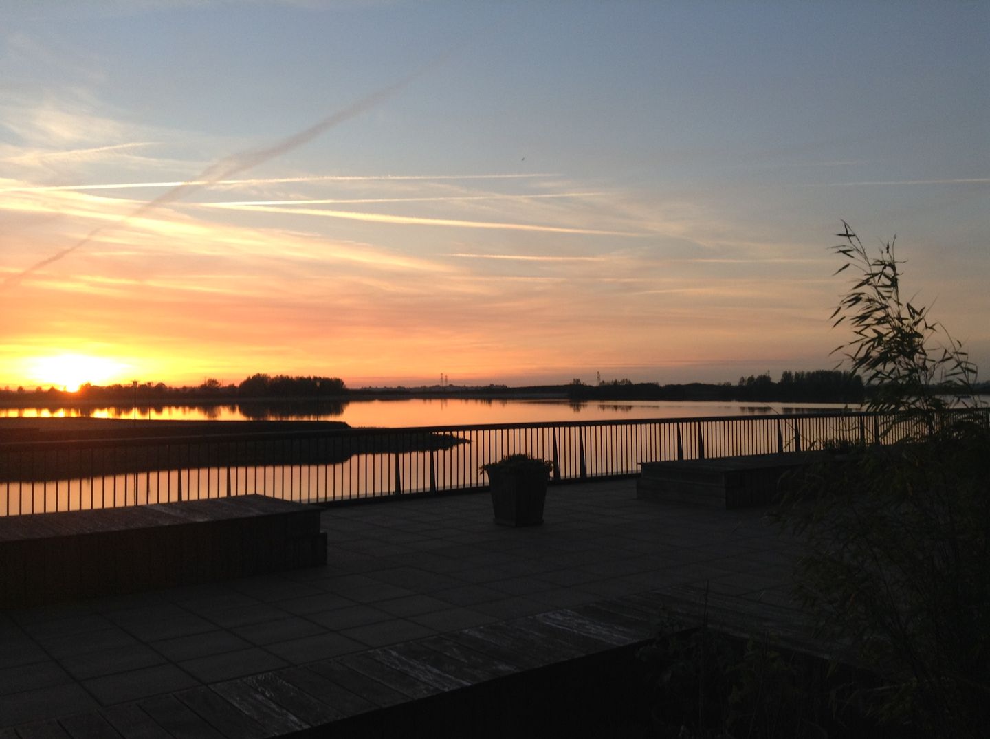 Foto 34 van Waterlelie 33