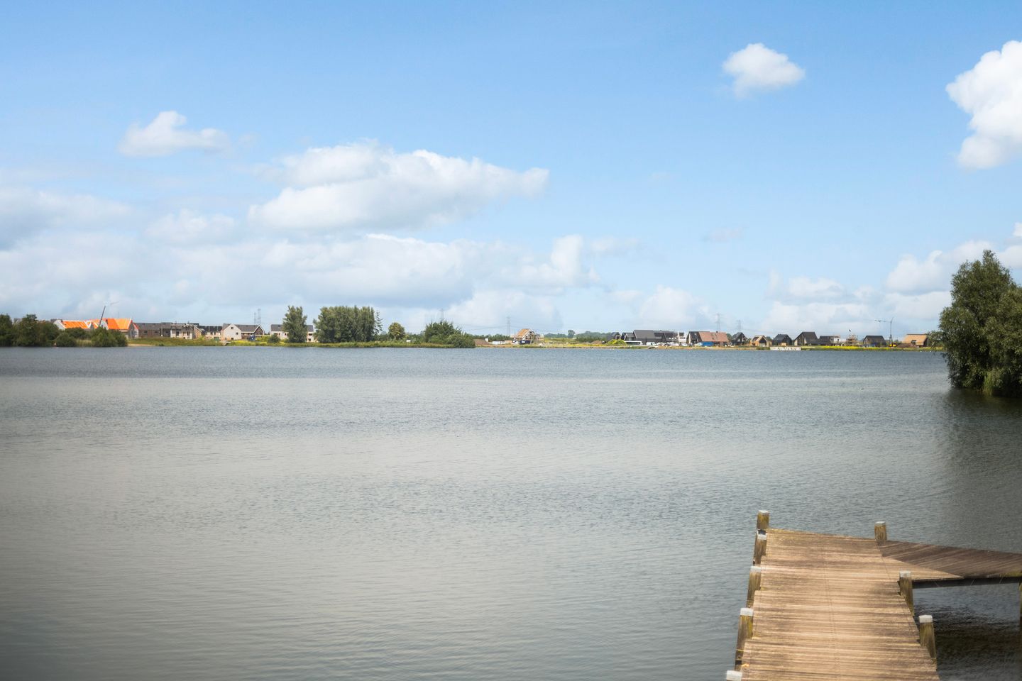 Foto 35 van Waterlelie 33