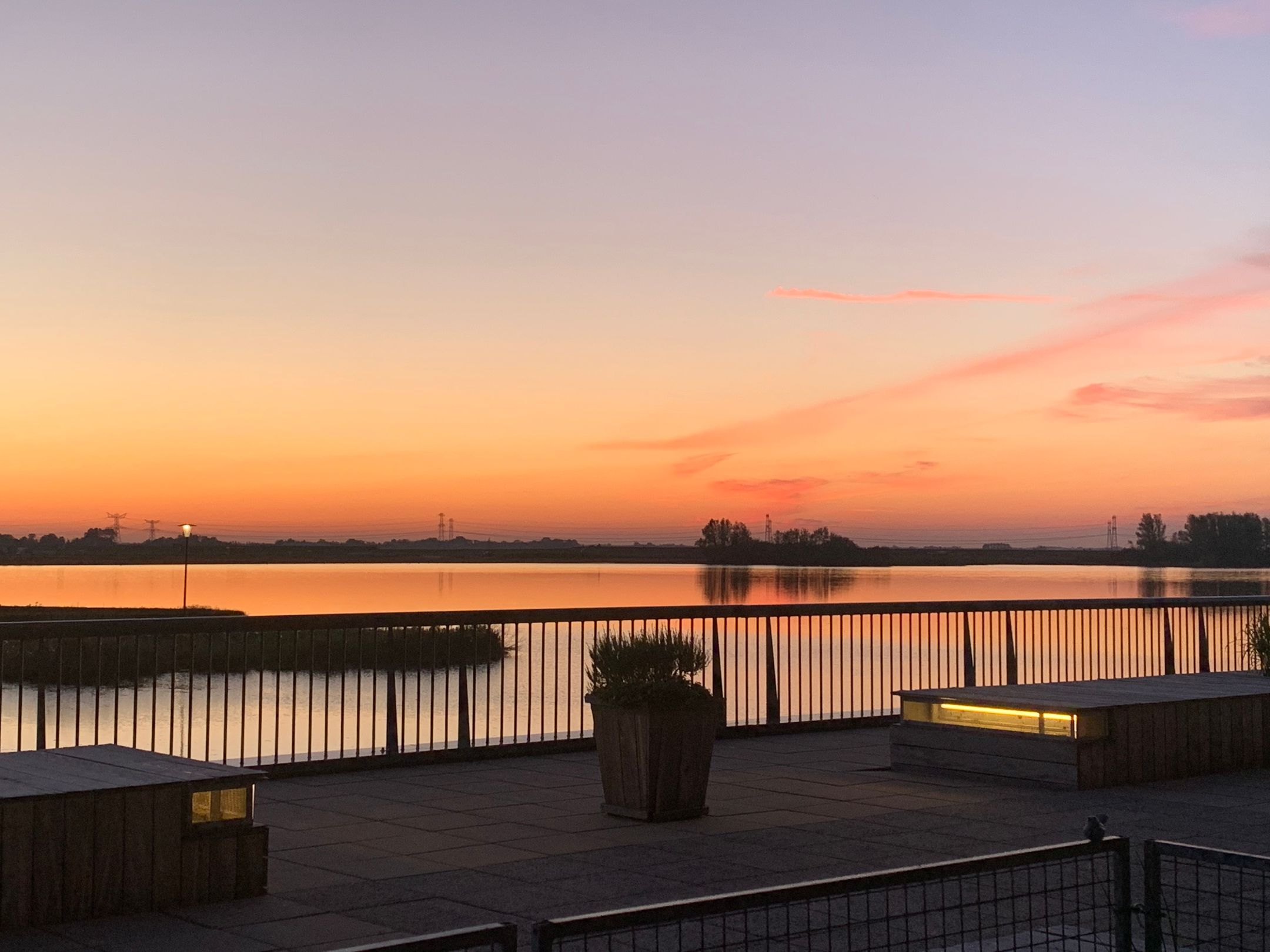 Foto 36 van Waterlelie 33